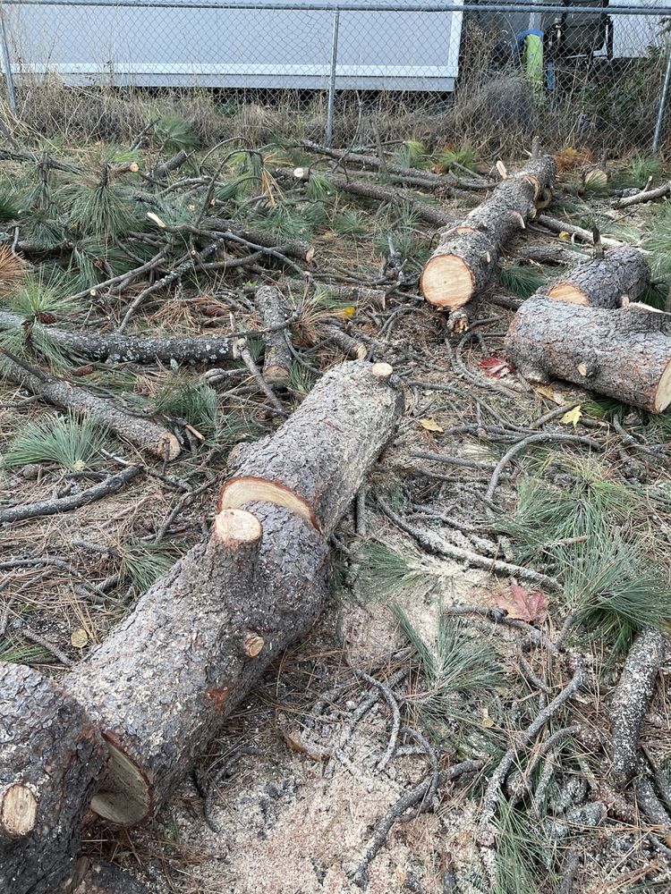 Humpty Dump Hauling Services