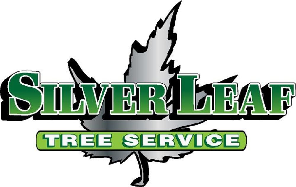 SilverLeaf Tree Service