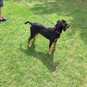 Dane County Humane Society - 10 Photos & 17 Reviews ...