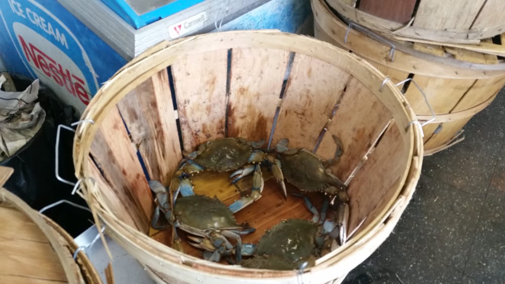 Crabdaddys Seafood Markets 6910 Cobbs Crk Pwky, Philadelphia, PA Phone Number Yelp