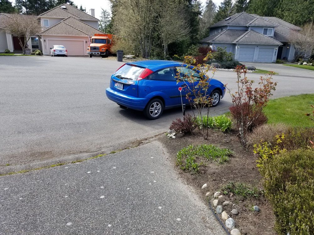 Scott's Tree Service