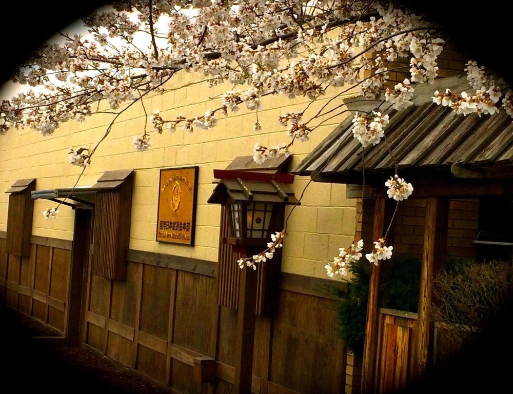Sakura Budokan