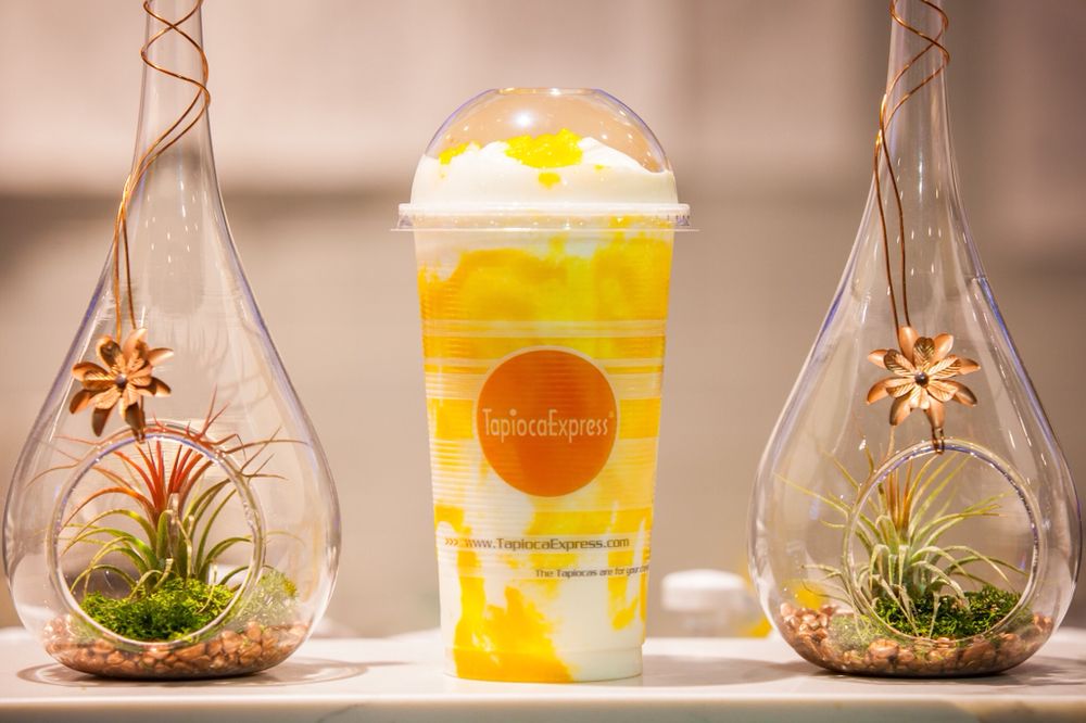 Tapioca Express