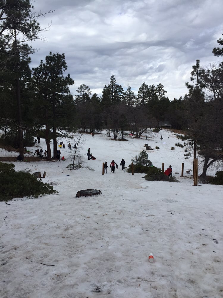 Aspen Glen Picnic Area 17 Photos & 41 Reviews Parks 40101 Mill