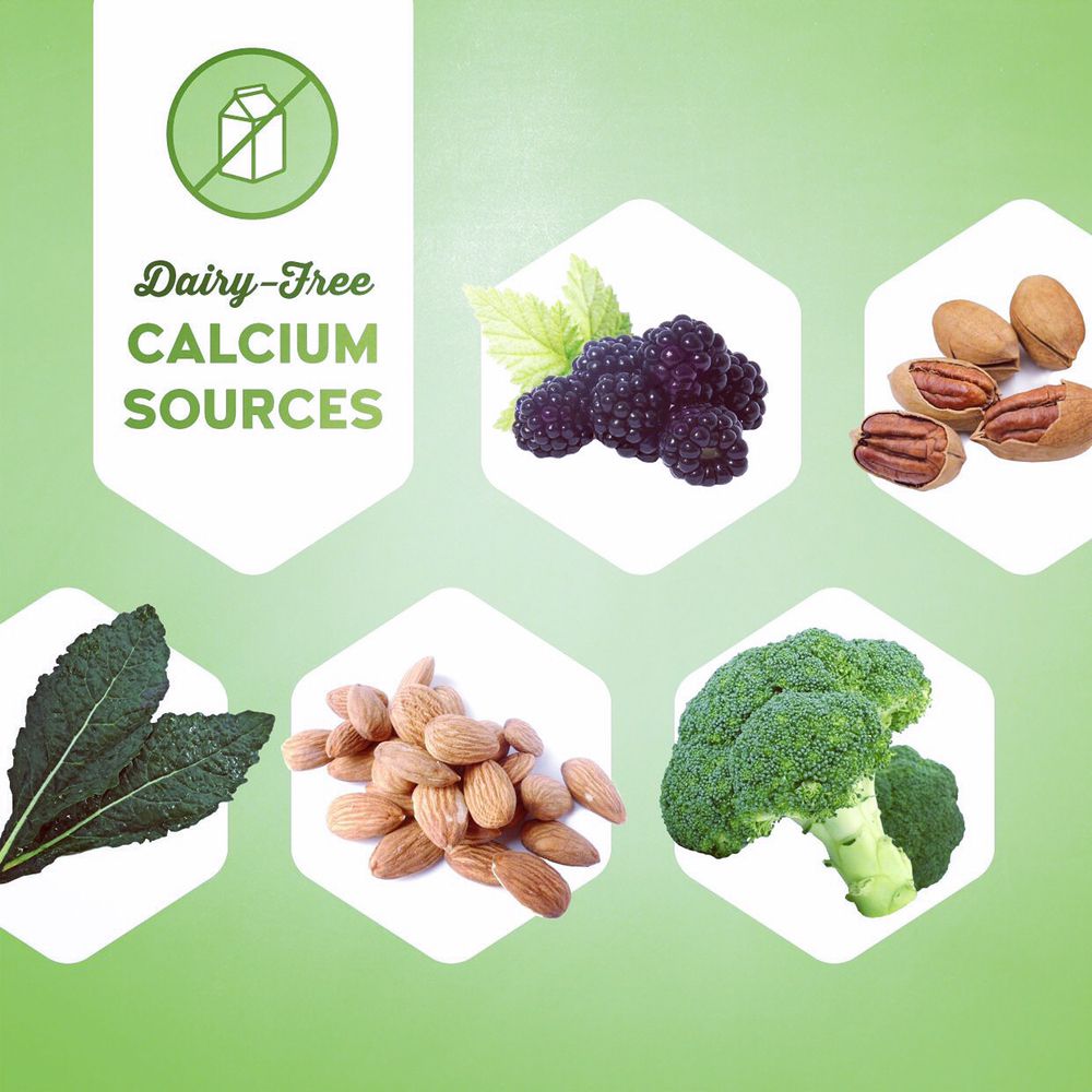 image of business Smile High Dental Care