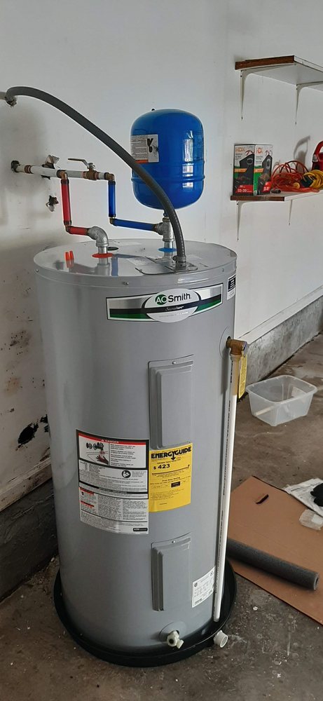 Lizard with a Ladder