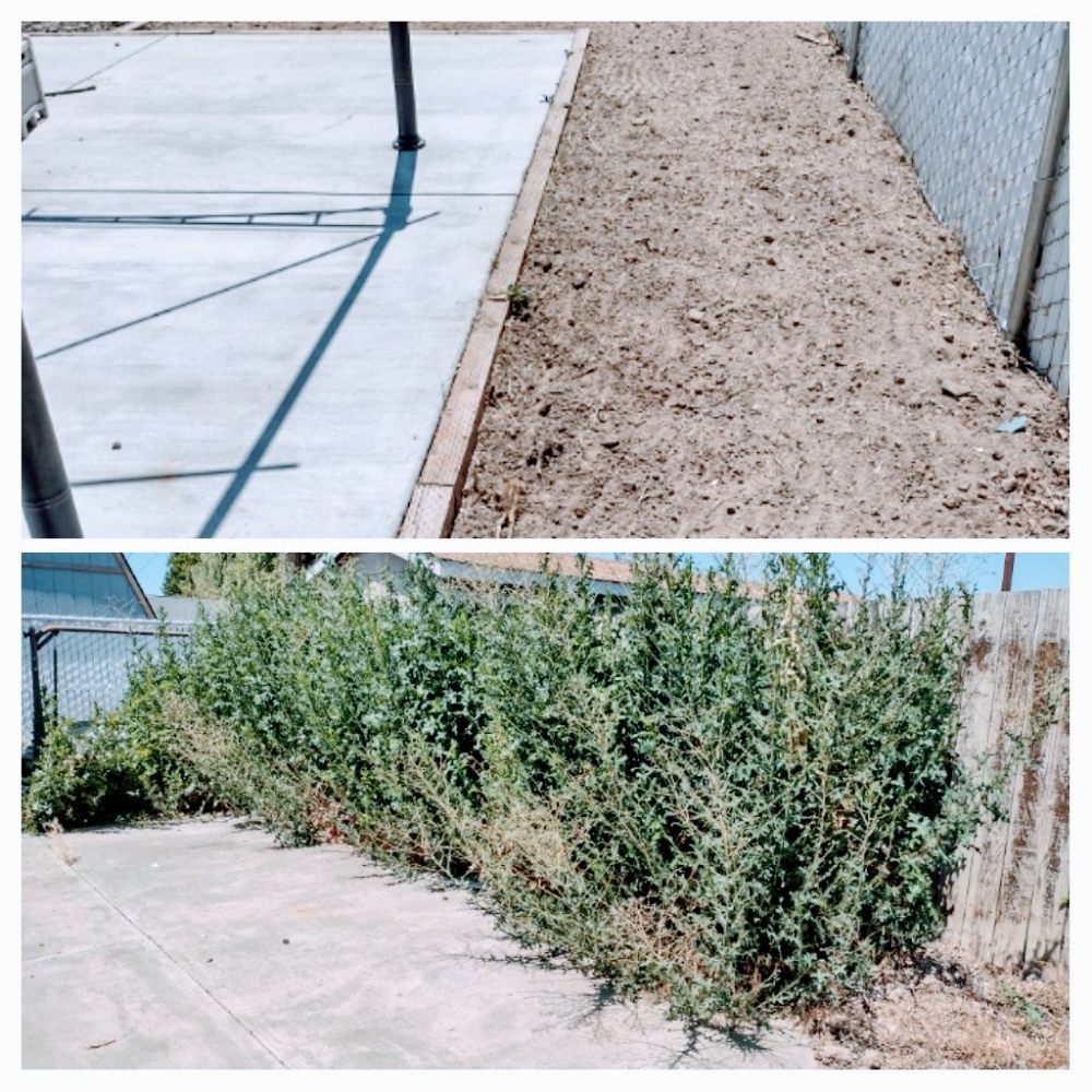 Valle Lawn Care & Junk Removal