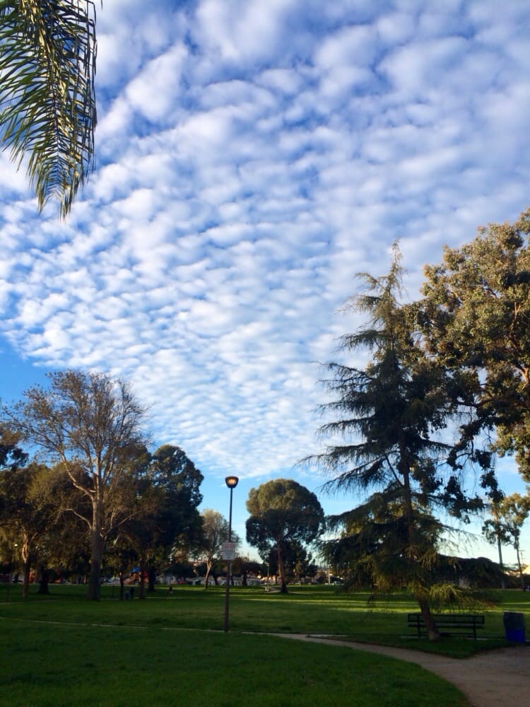 Victor Park 23 Photos & 17 Reviews Parks 4715 Emerald St