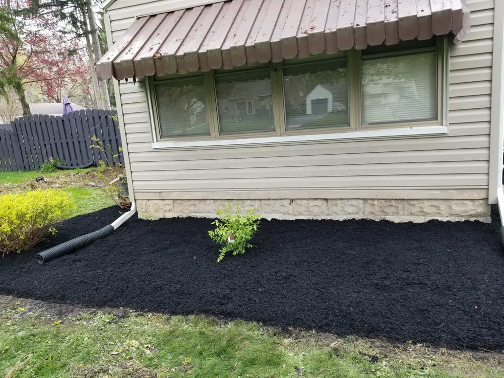 Williams Lawn Care Services