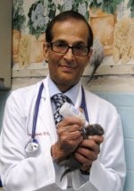 Prince George's Animal Hospital