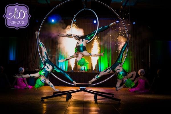 A2D2 Aerial Dance Cirque Company