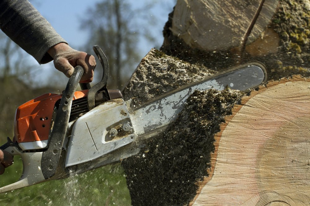 Estes Tree Service