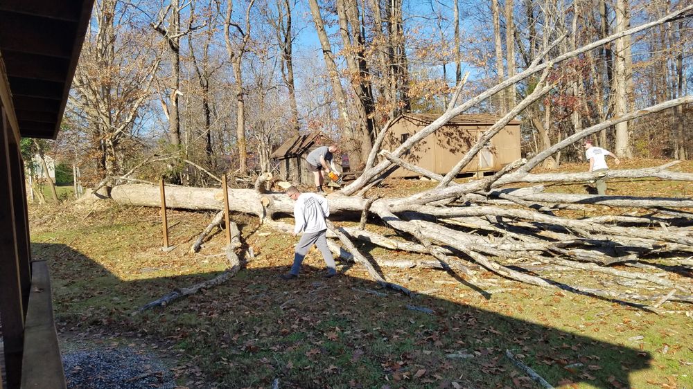 Triad Precision Landscaping