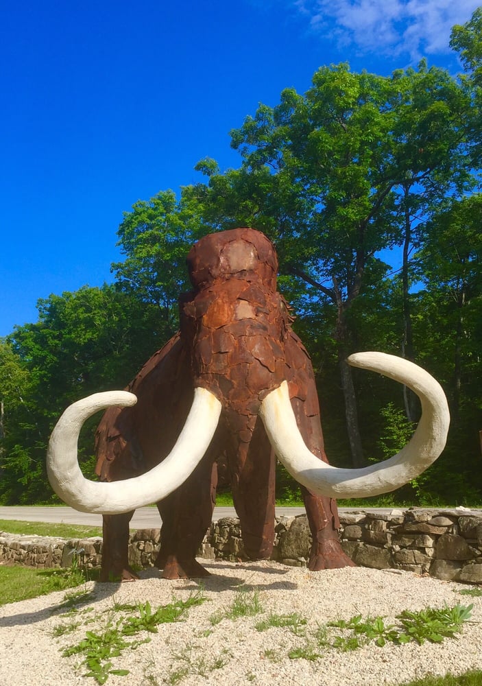 Edgewood Orchard Galleries 18 Photos Art Galleries 4140 Peninsula