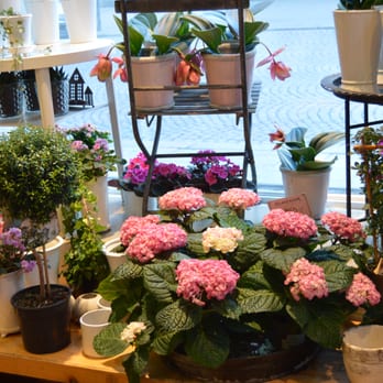 skicka blommor och choklad billigt skicka blommor och choklad billigt