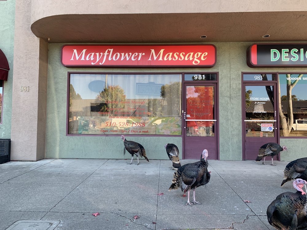 MayFlower Massage