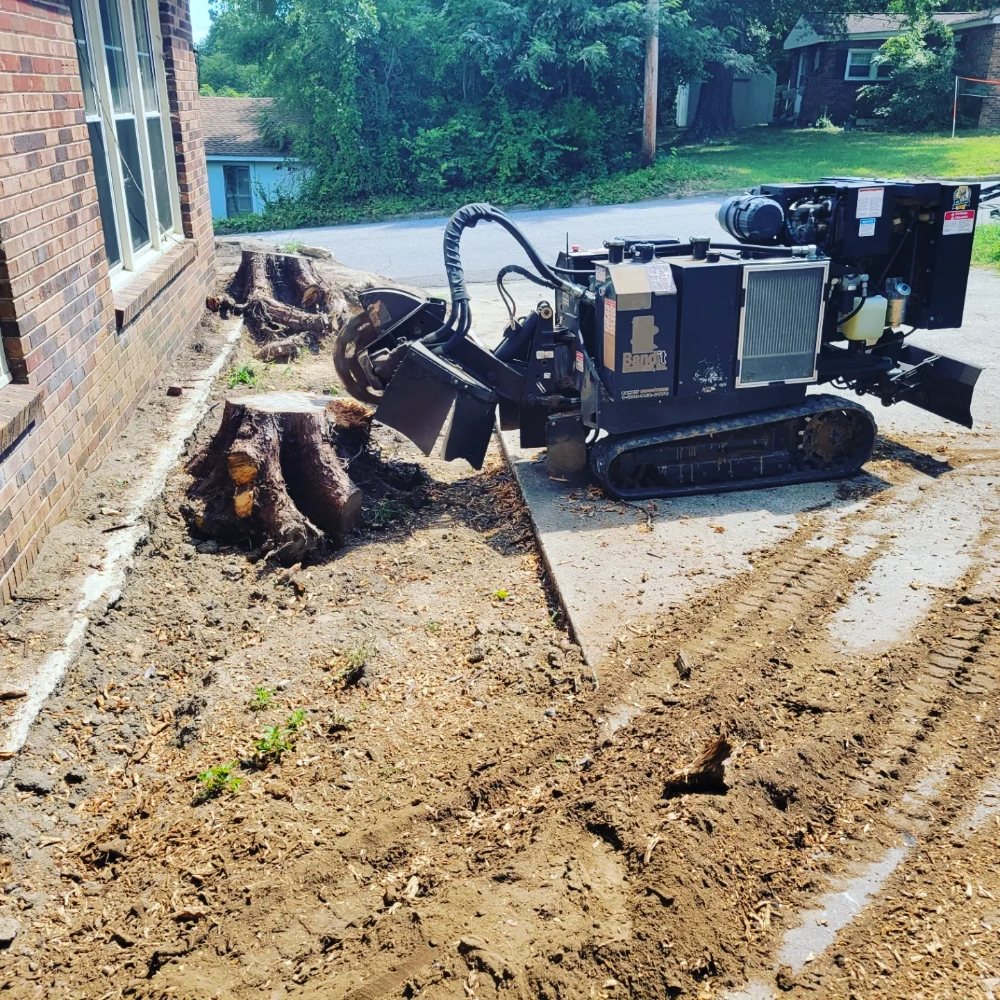 Beaver Tooth Stump Grinding