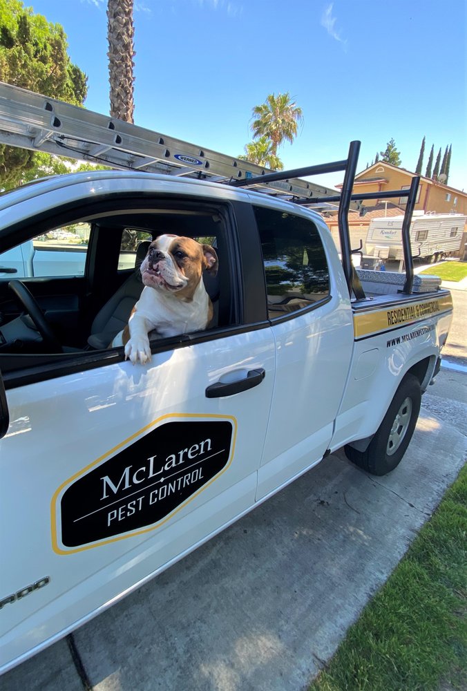 McLaren Pest Control