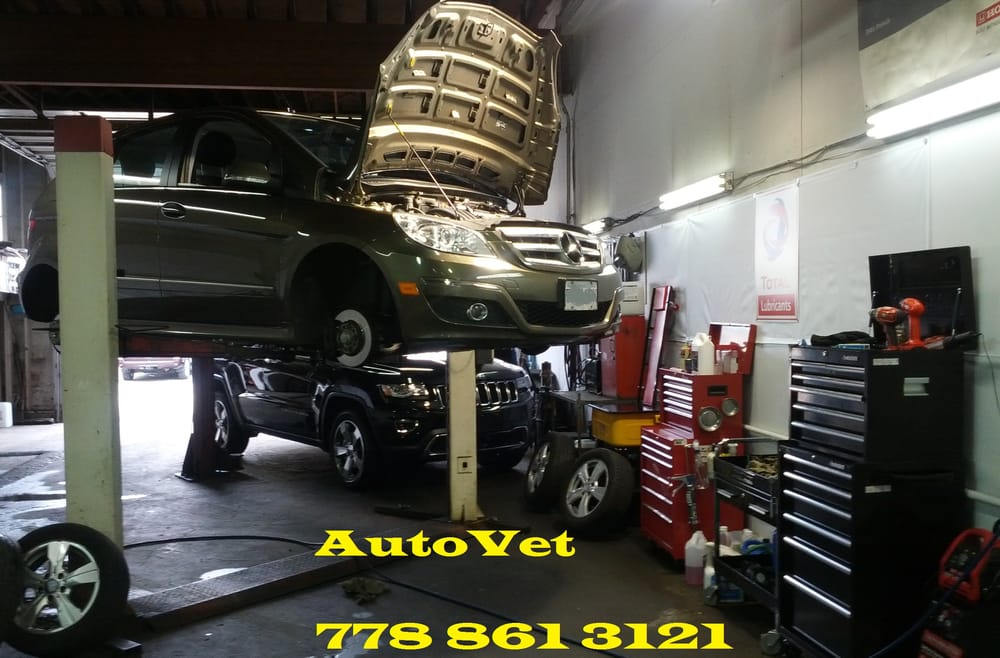 AutoVet Pro Mechanic