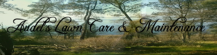 Audels Lawn Care & Maintanence