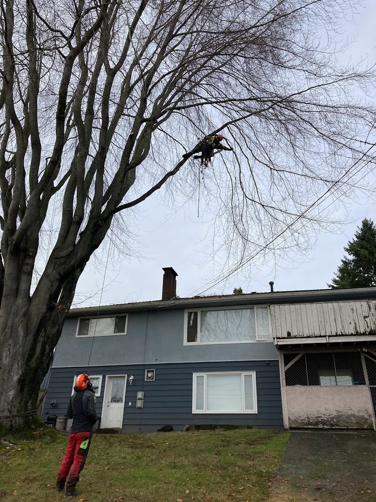 Fuller Tree Service