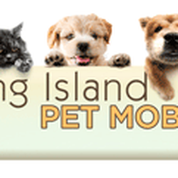 Mobile Dog Grooming Long Island Mobile Dog Grooming Long Island