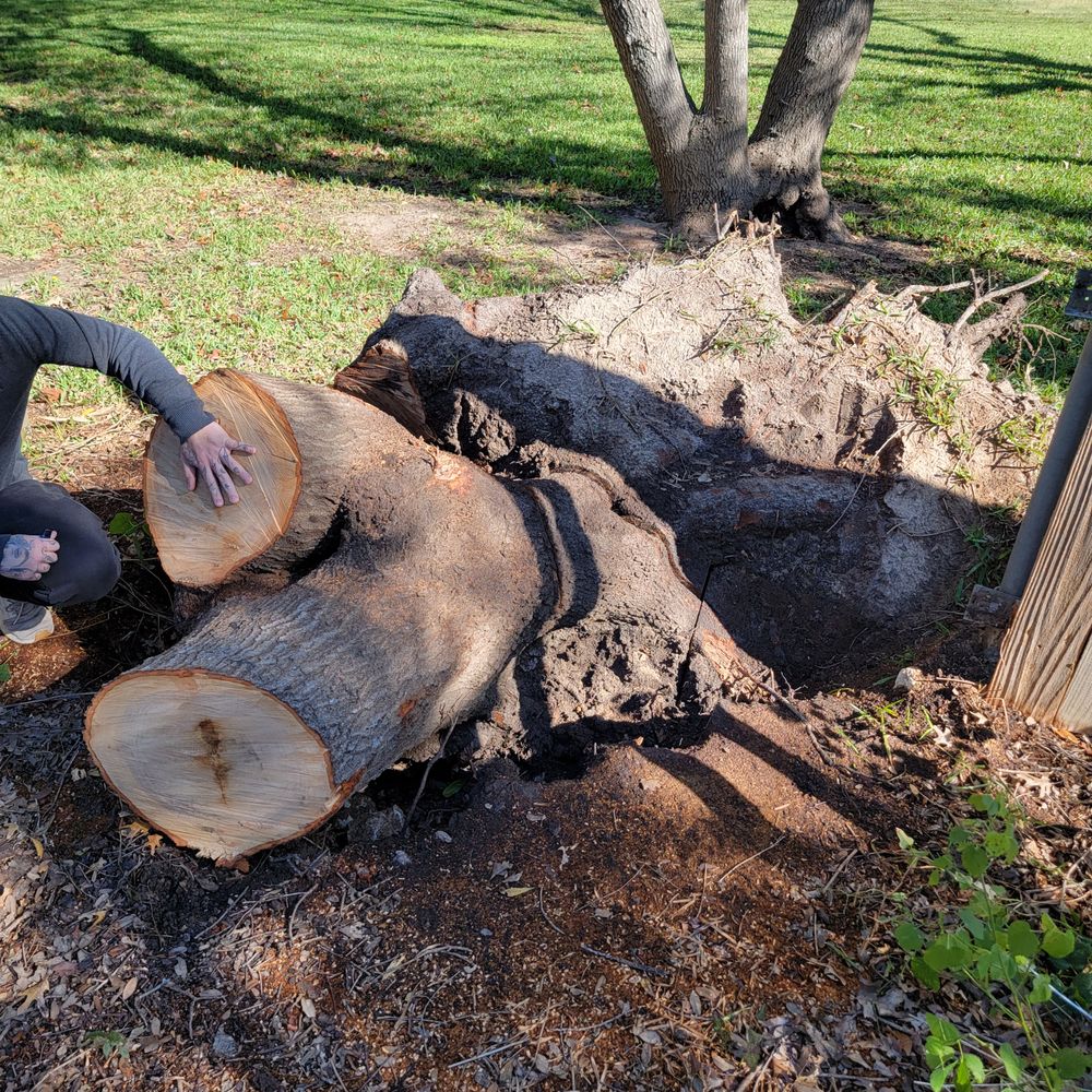 All American Tree and Landscaping Services