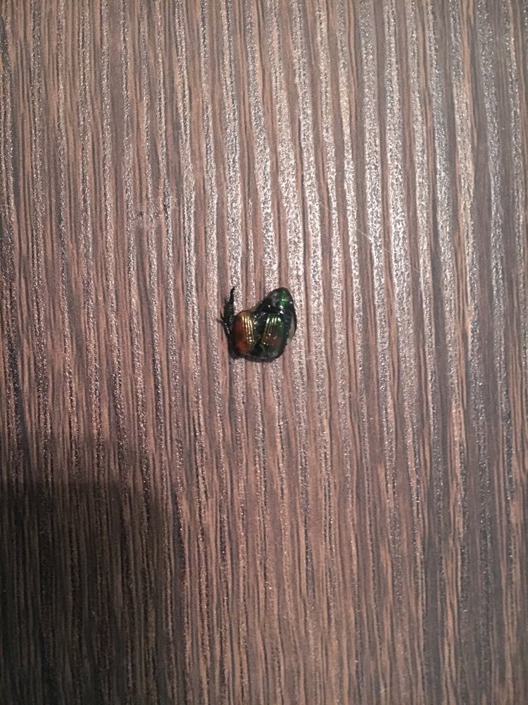 Hunan Chinese Restaurant