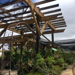 Growing Grounds Nursery Tree Outlet 20 Photos 15 Reviews Photo Of Growing Grounds Nursery Tree Outlet Camarillo Ca United States