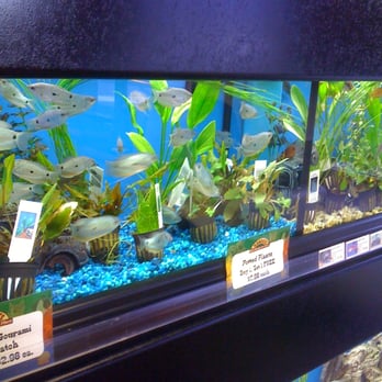 Lake Murray Pet Food Store Lake Murray Pet Food Store