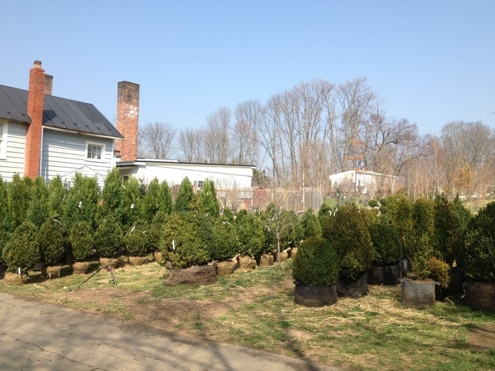 Ivandale Farms