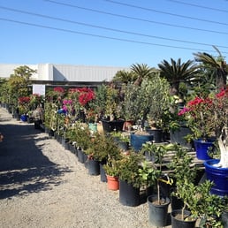 Emily Garden Nursery Thenurseries Emily Garden Nursery Thenurseries