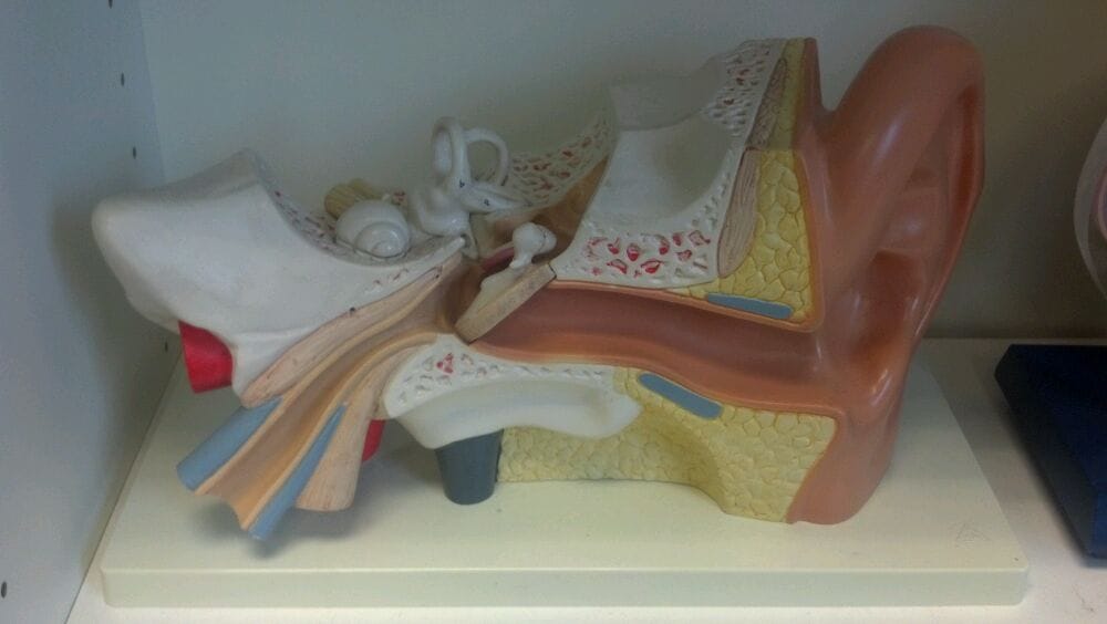 Balance & Ear Center Ear Nose & Throat 10200 Three Chopt Rd