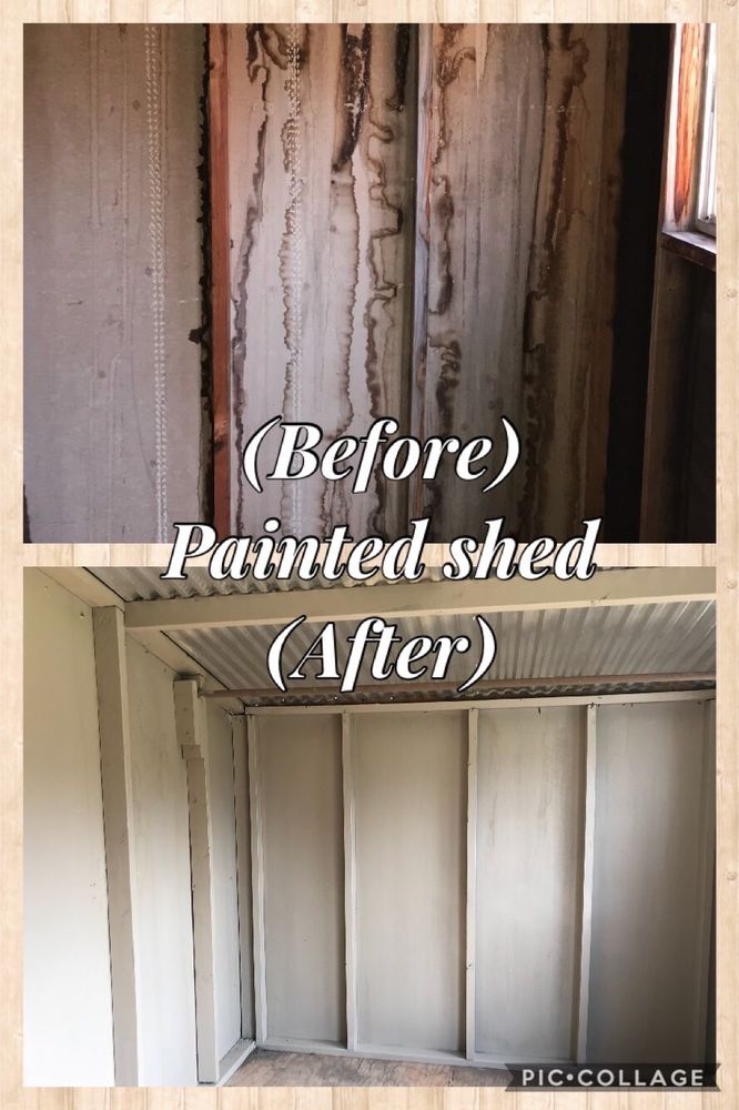 image of business Willy