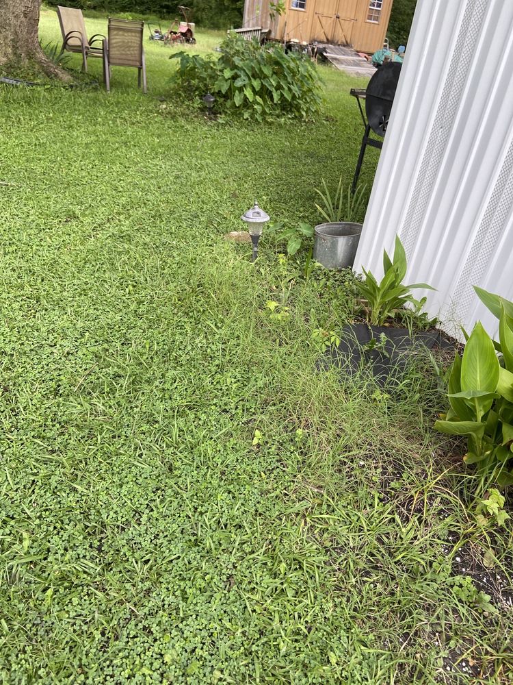 Powell's Concrete Finishing