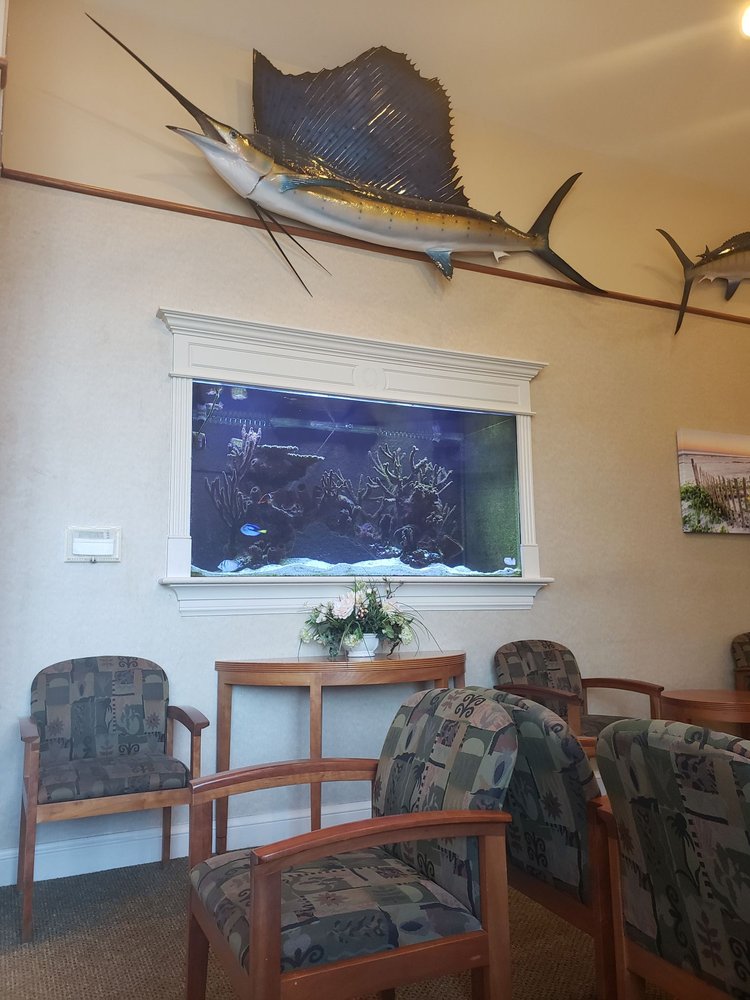 image of business Steven L Lang, DDS