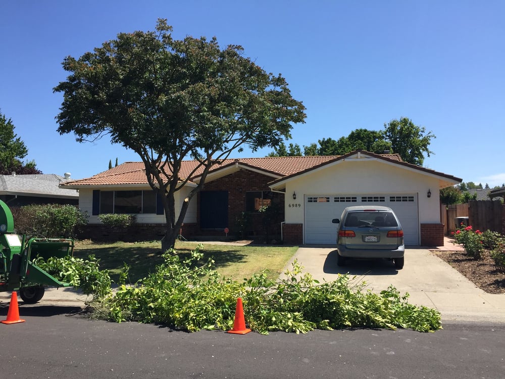 Johnston's Tree Service