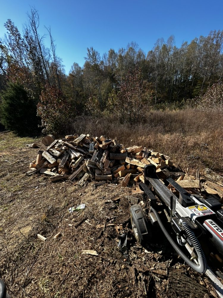 Ryans Tree Services & More