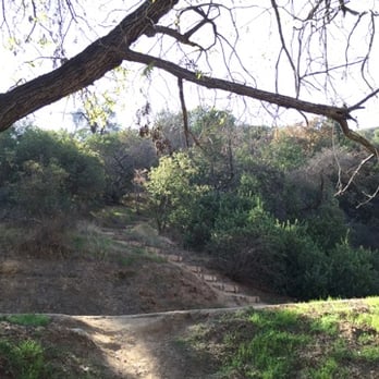 amirs garden closed 195 photos 51 reviews parks griffith park griffith park los angeles ca phone number yelp - Amirs Garden amirs garden closed 195 photos 51 reviews parks griffith park griffith park los angeles ca phone number yelp - Amirs Garden
