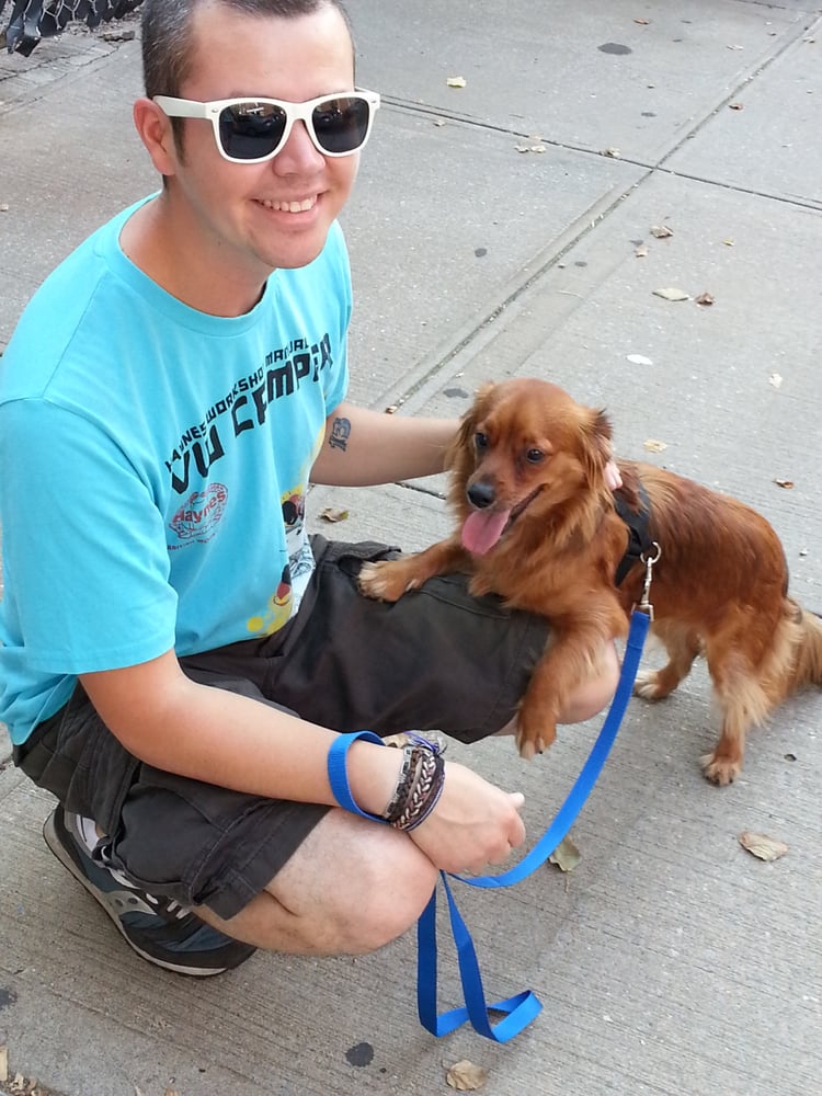 Brooklyn Pet Services 29 Photos & 18 Reviews Dog Walkers East