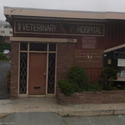 St Francis Pet Hospital Daly City St Francis Pet Hospital Daly City