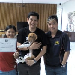 Say It Once Dog Training Reviews Say It Once Dog Training Reviews