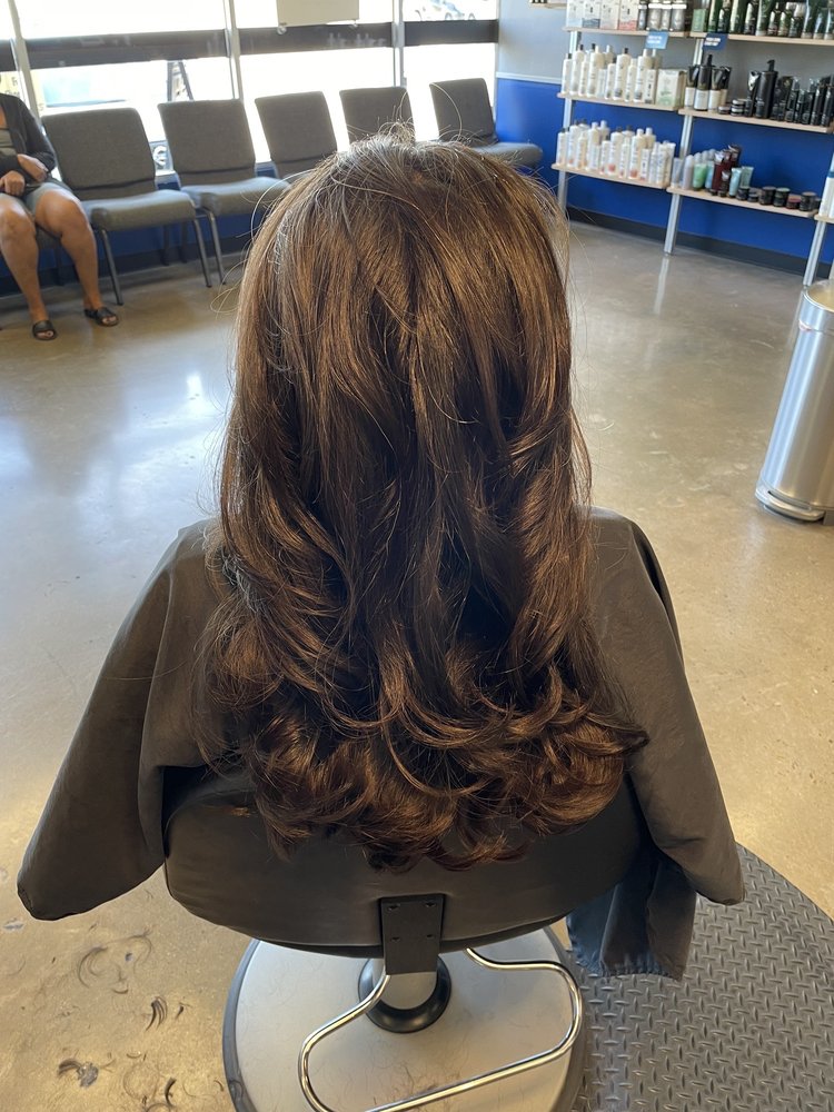 Apartment Wolf For RentNob Hill Apartments 5410 N Braeswood Blvd,