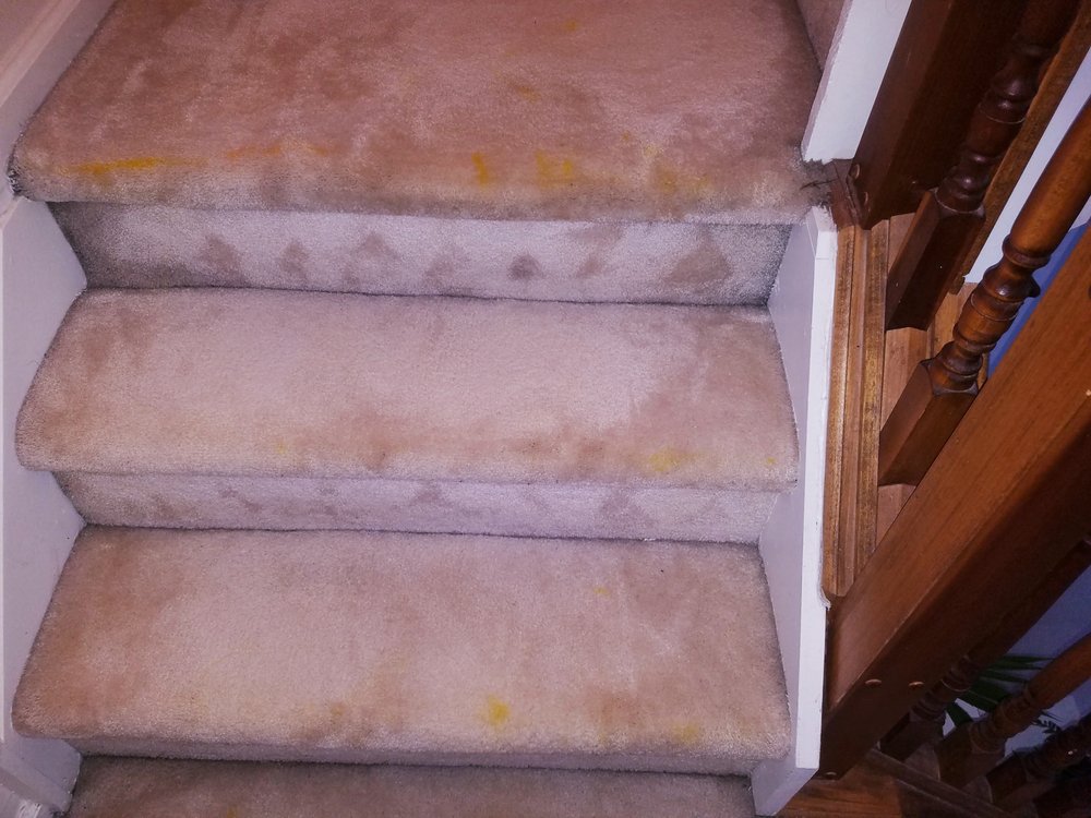 Barnes and Young Carpet Cleaning