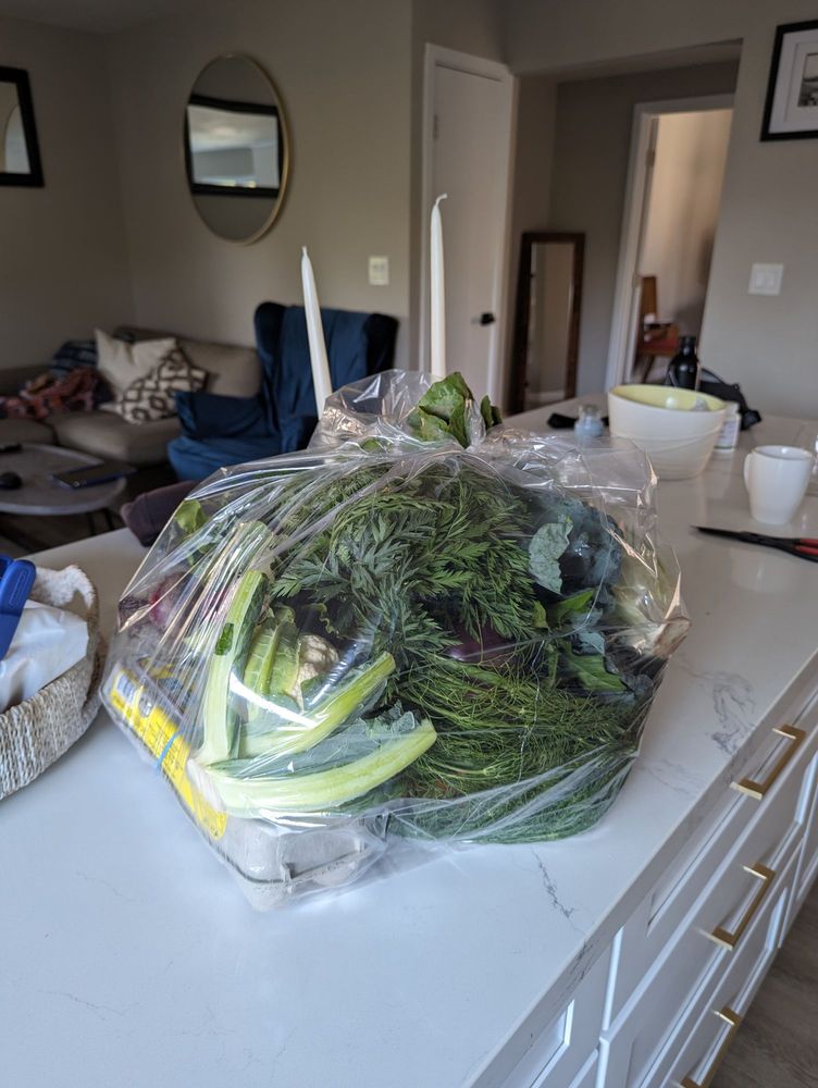 Freshness Farms