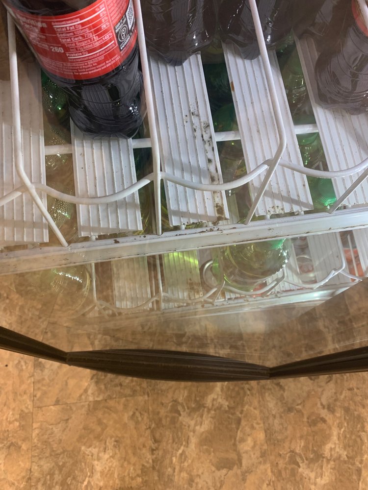 Dollar Tree Stores
