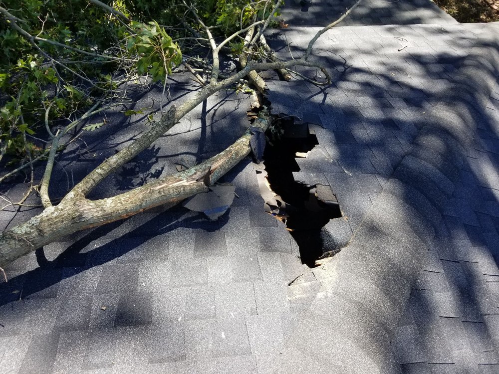 Beaver Lake Tree Service