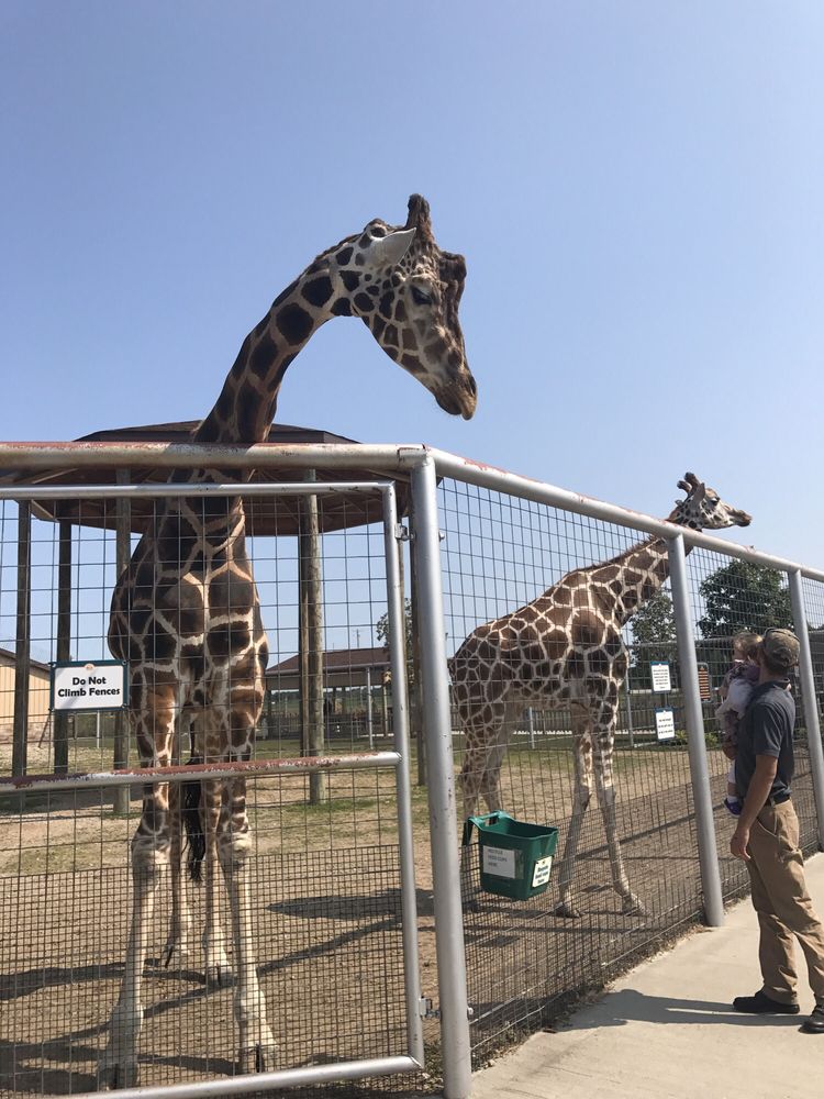 Boulder Ridge Wild Animal Park 49 Photos & 19 Reviews Zoos 8313