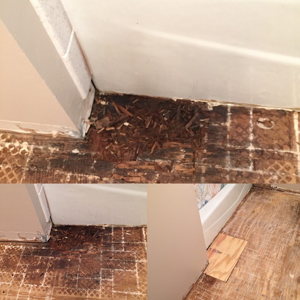 image of business AE Flooring