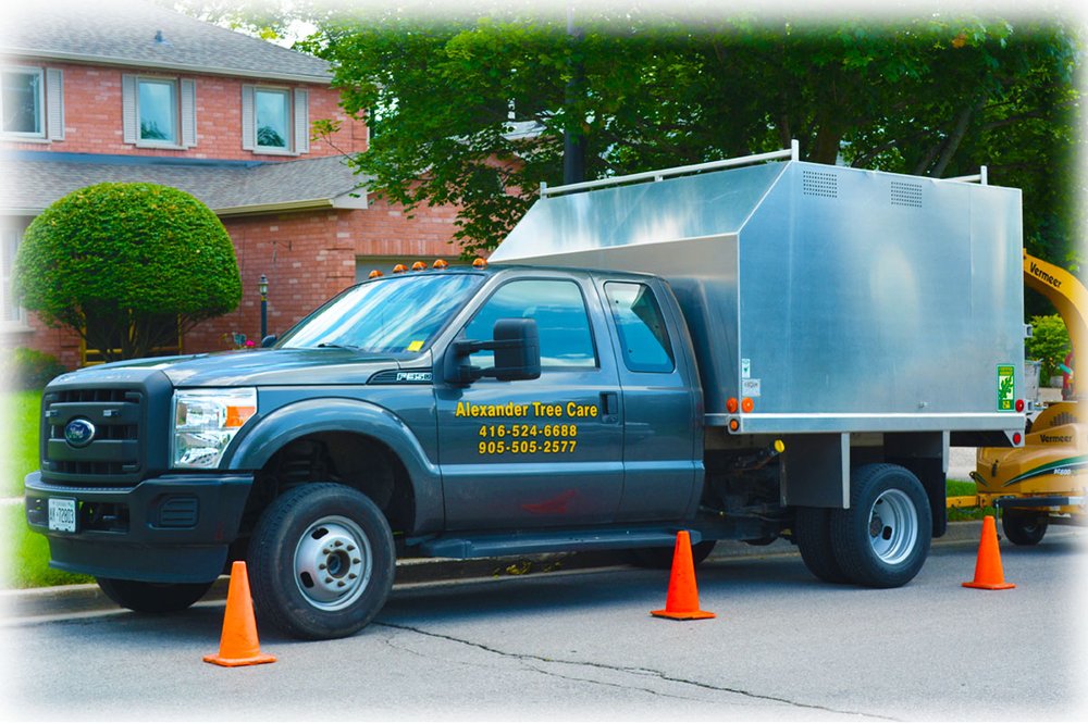Alexander Tree Care